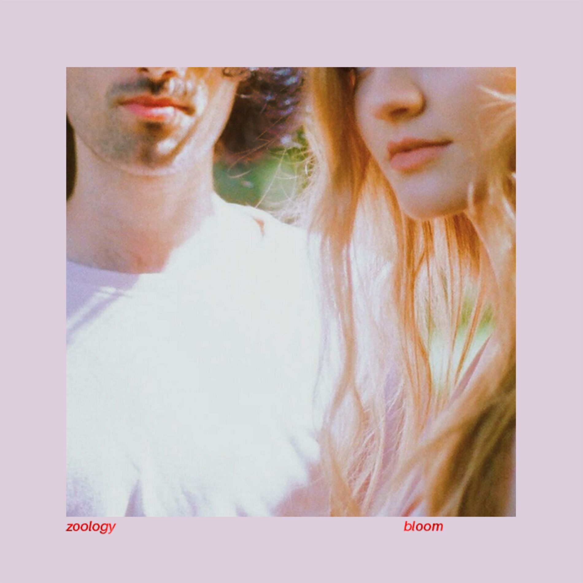 Album cover of Bloom