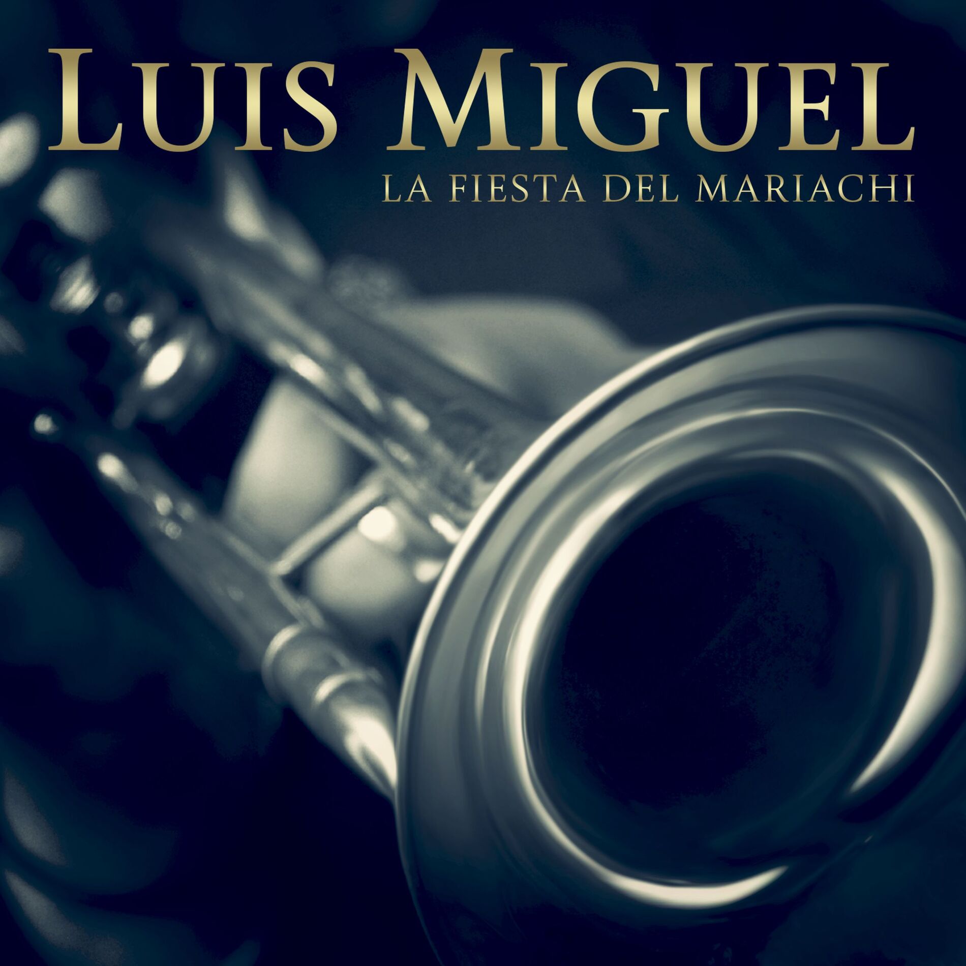 Album cover of La fiesta del mariachi