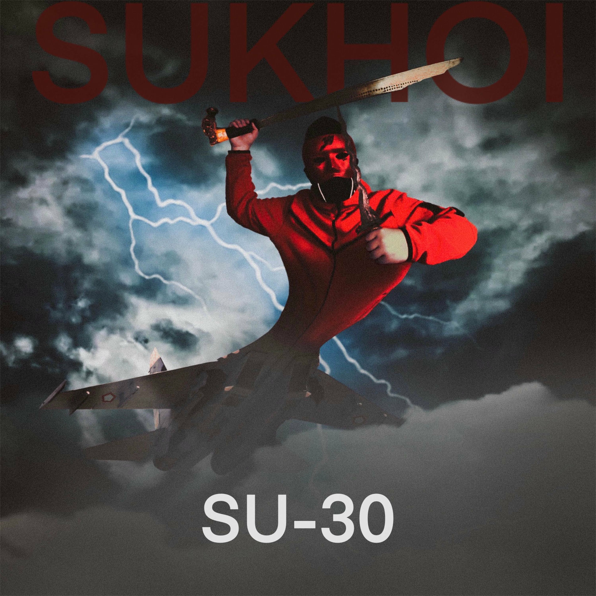 Album cover of SU-30 (flanker)