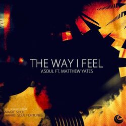 Cover of The Way I Feel