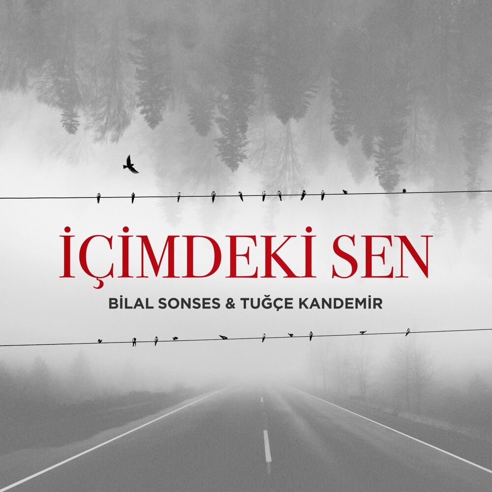 Picture of İçimdeki Sen