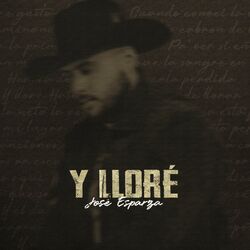 Cover of Y LLORÉ