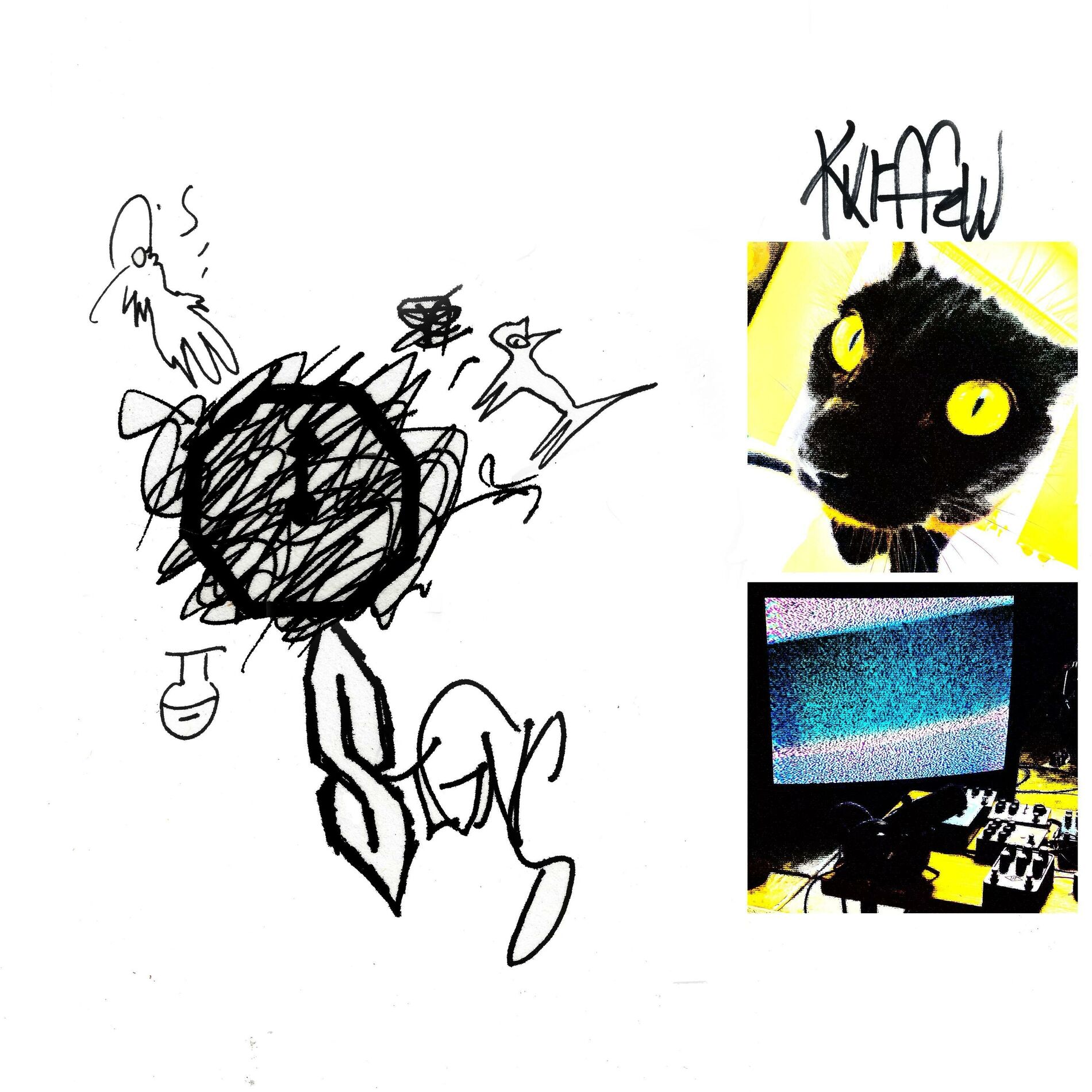Album cover of signs