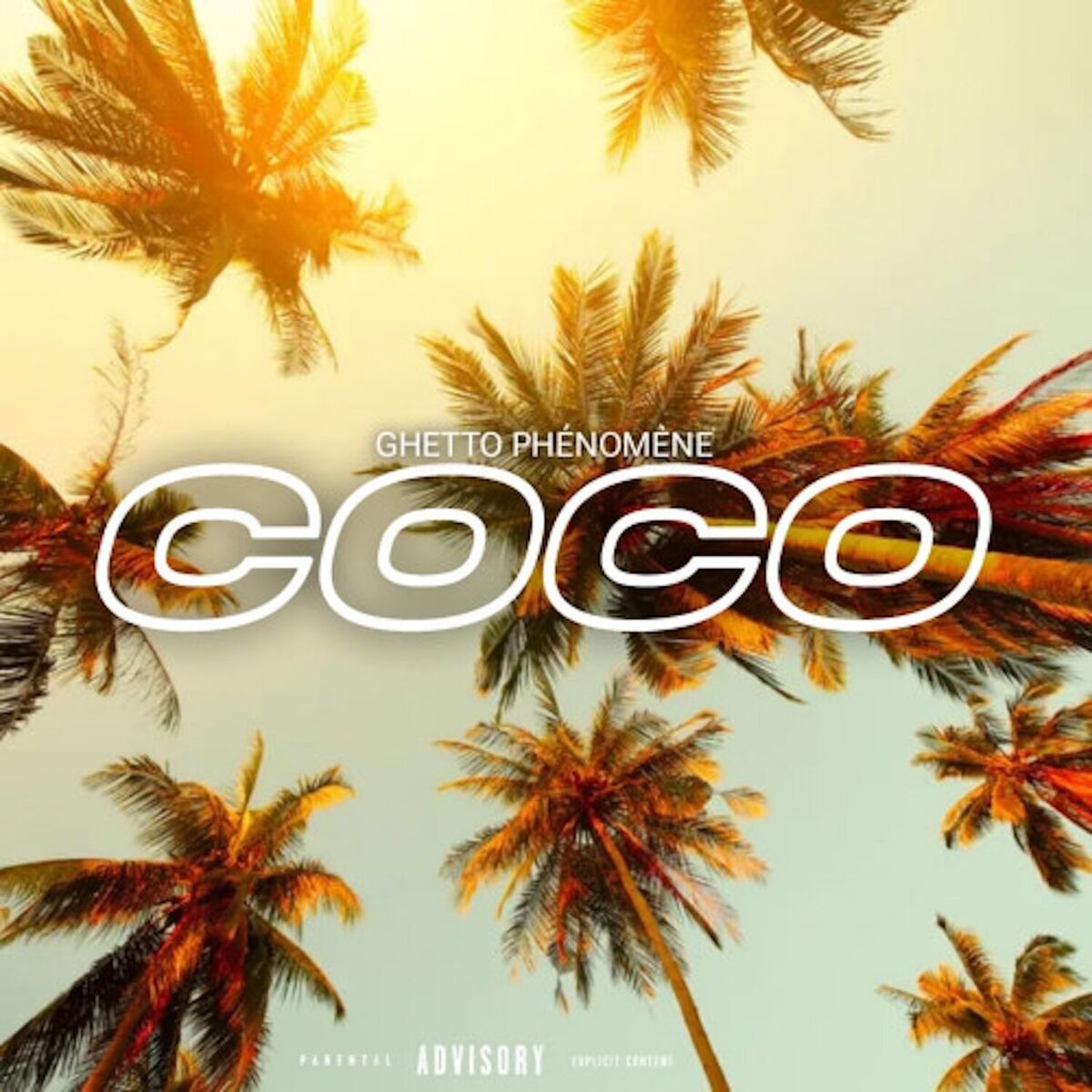 Album cover of Coco