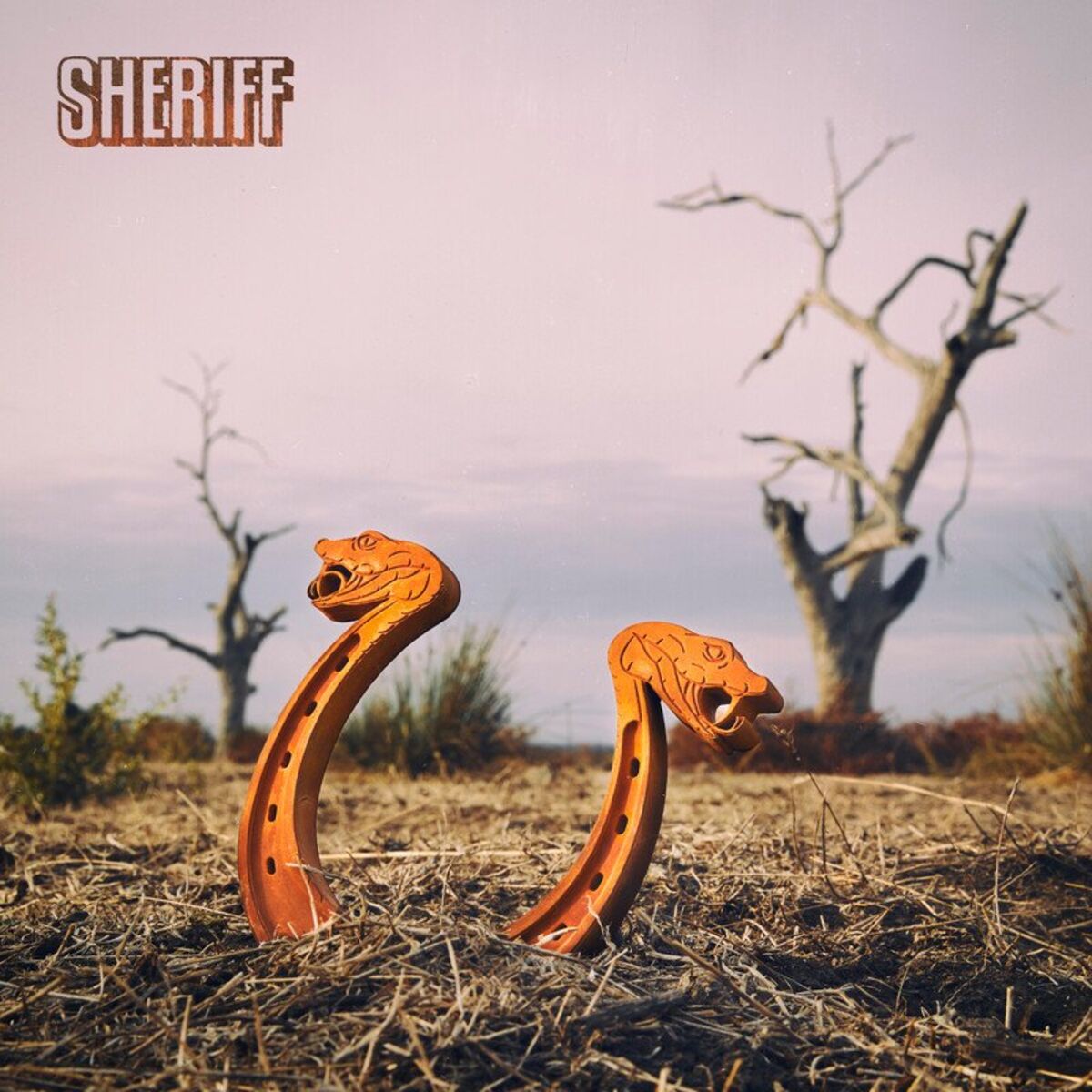 Album cover of The Album