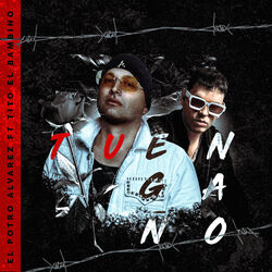 Cover of Tu Engaño