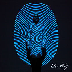 Cover of Identity (Deluxe Edition)