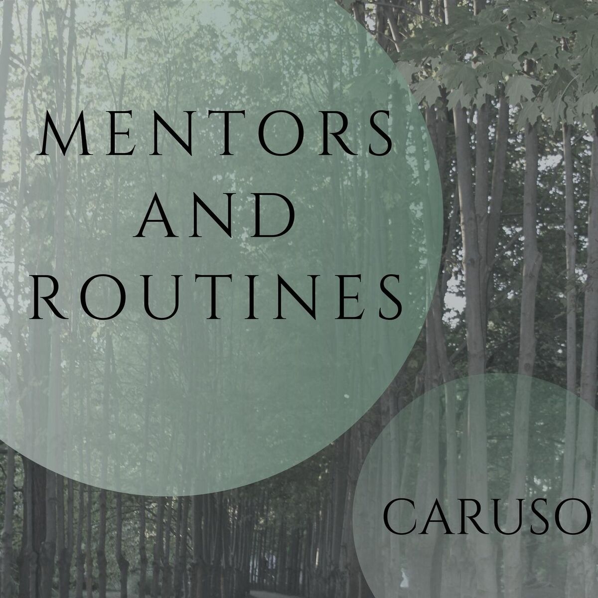 Album cover of Mentors & Routines