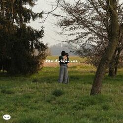 Cover of Schiena