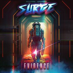 Cover of Evidence
