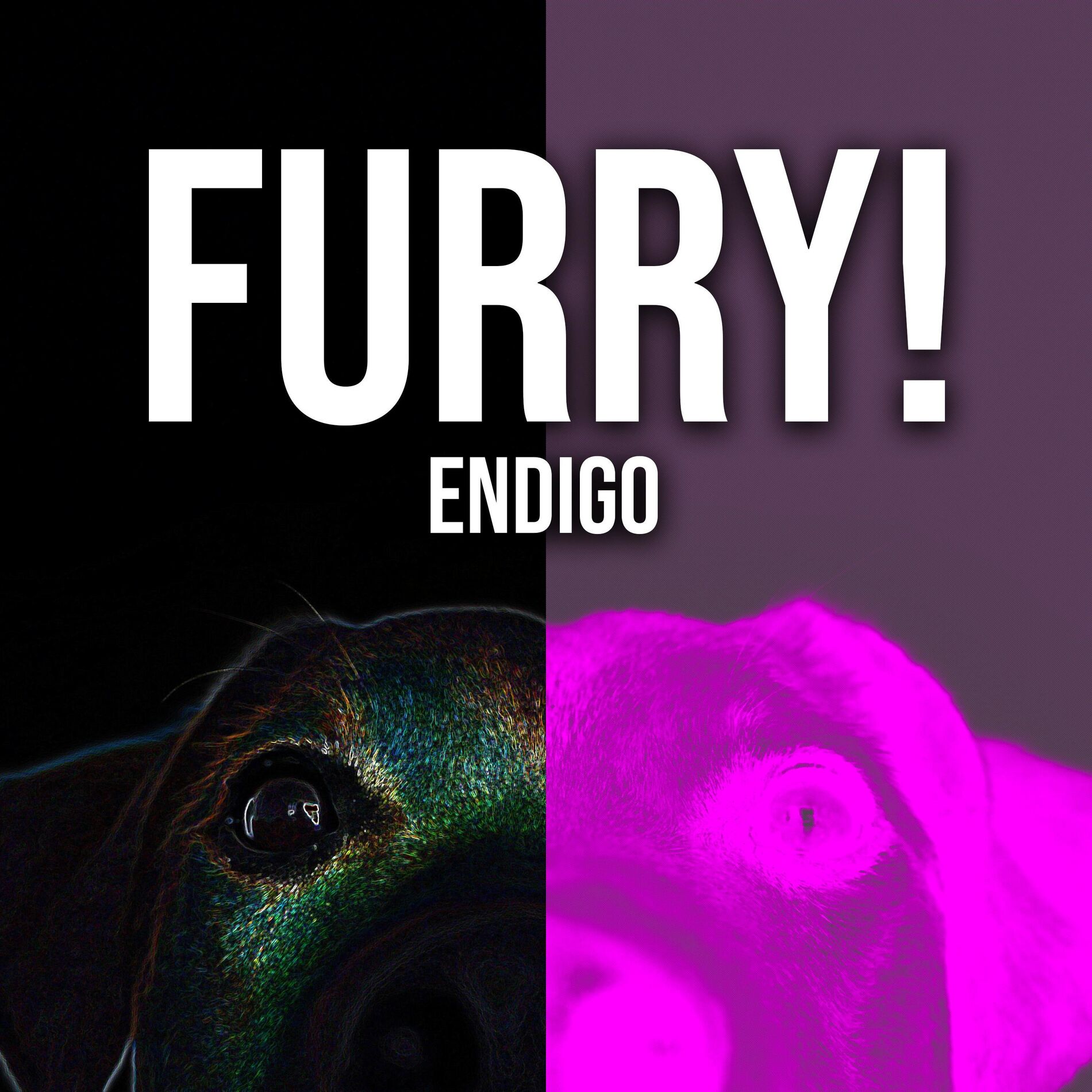 Album cover of Furry!