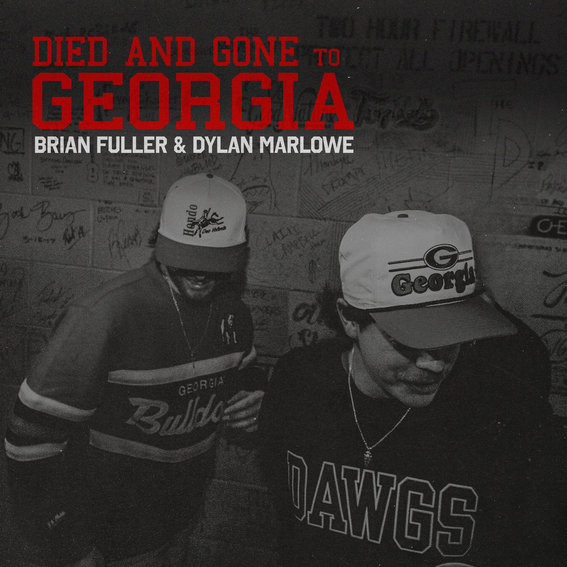 Album cover of Died and Gone to Georgia