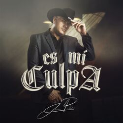 Cover of Es Mi Culpa