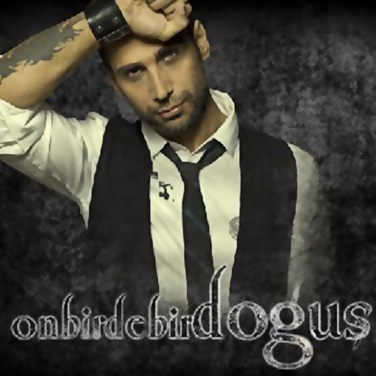 Album cover of Onbirde Bir