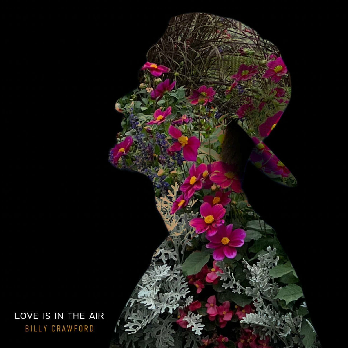Album cover of Love Is In The Air