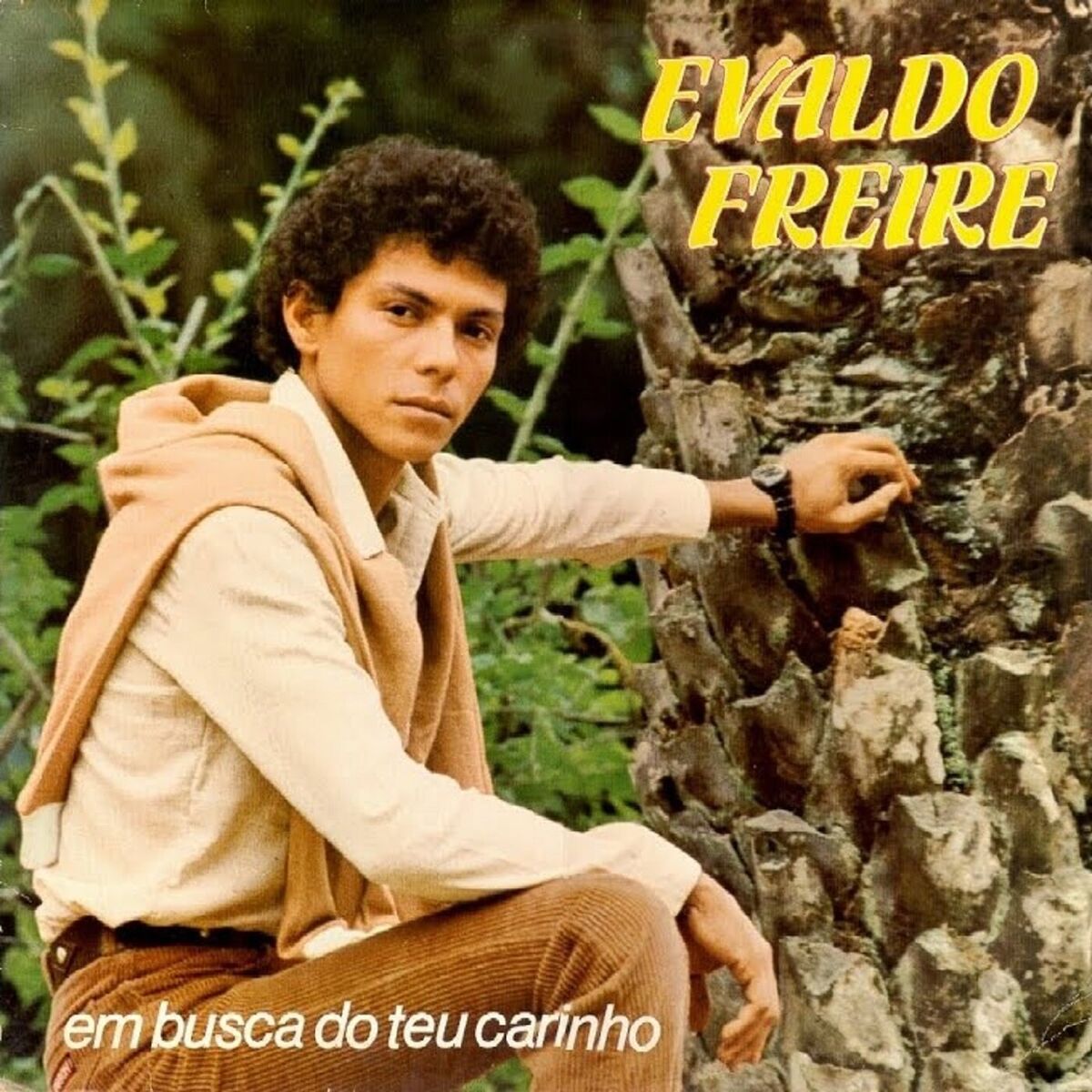 Album cover of Falso amor