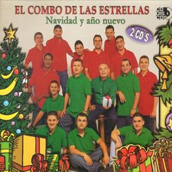 Cover of Navidad y Año Nuevo