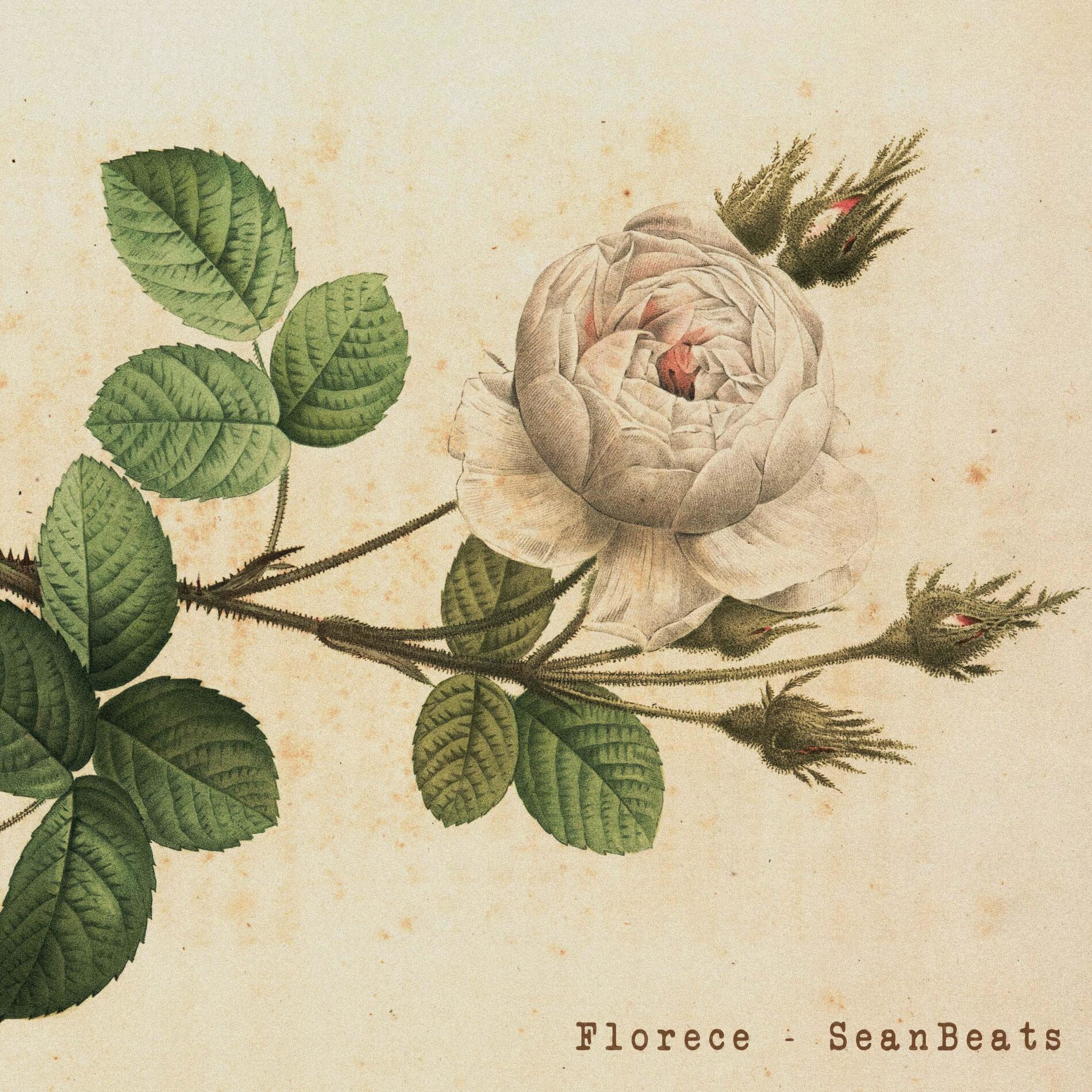 Album cover of Florece