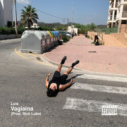 Cover of Vagiaina