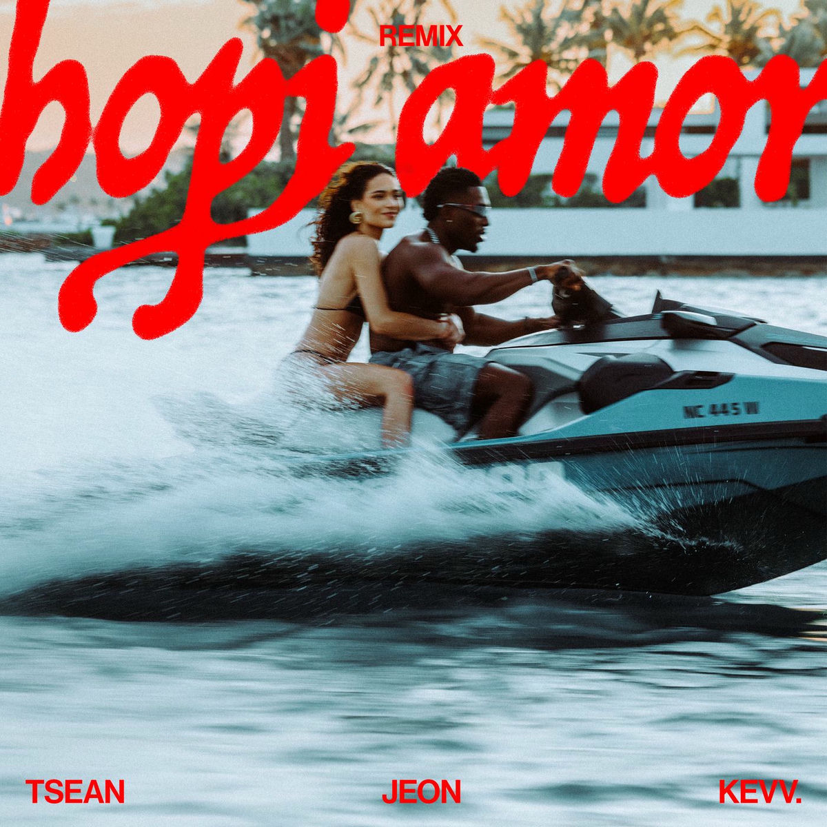 Album cover of hopi amor (Remix)