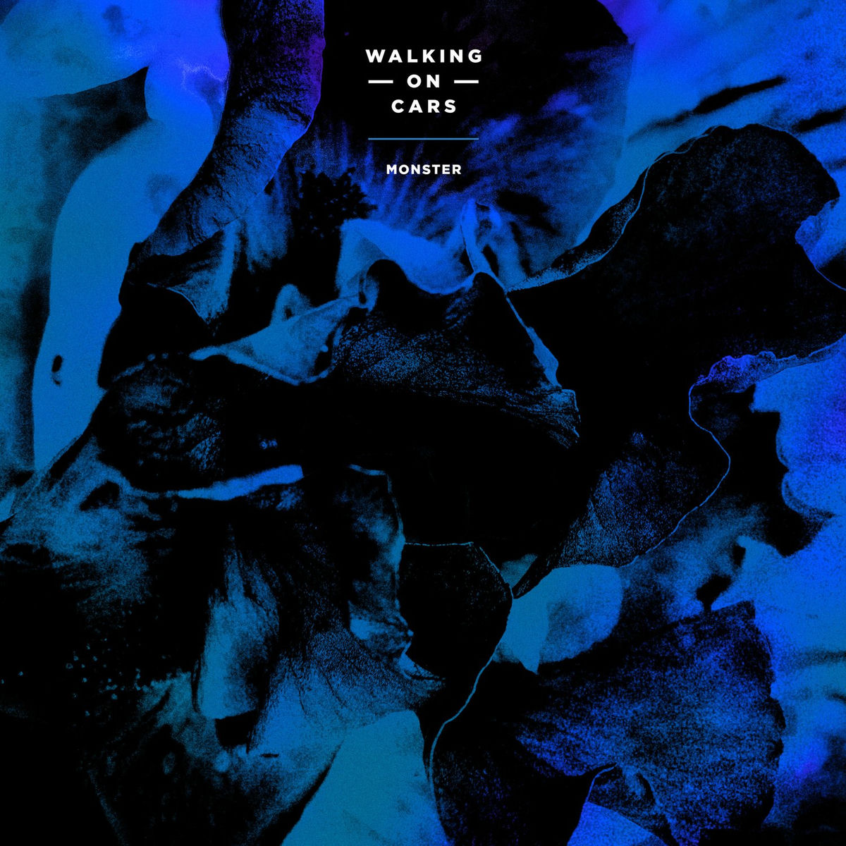 Album cover of Monster