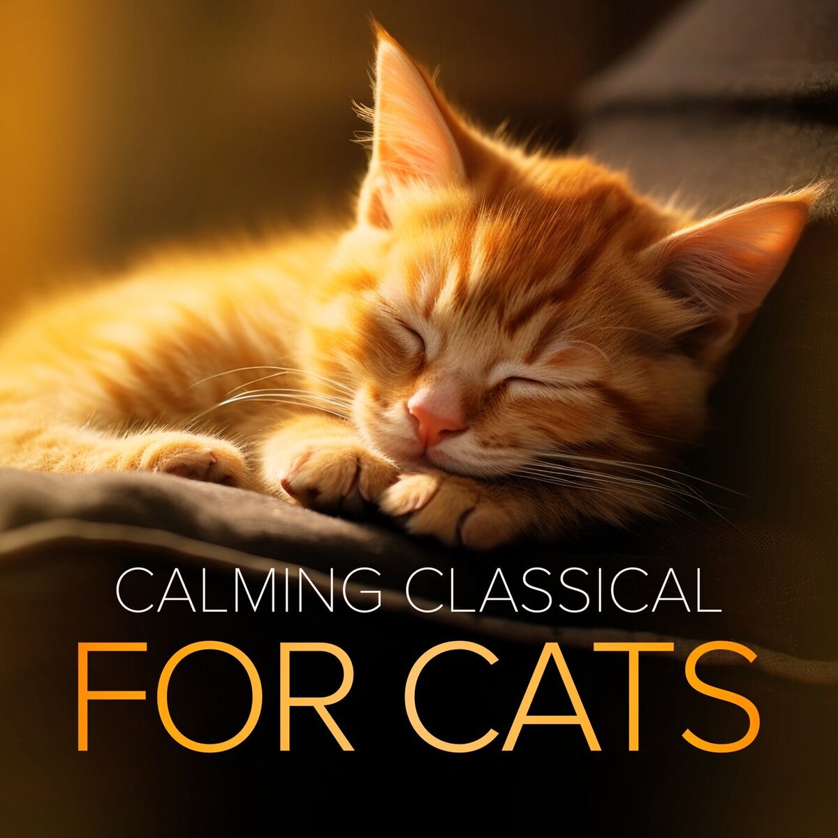 Album cover of Calming Classical for Cats
