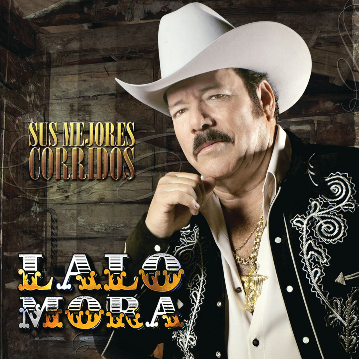 Album cover of Sus Mejores Corridos
