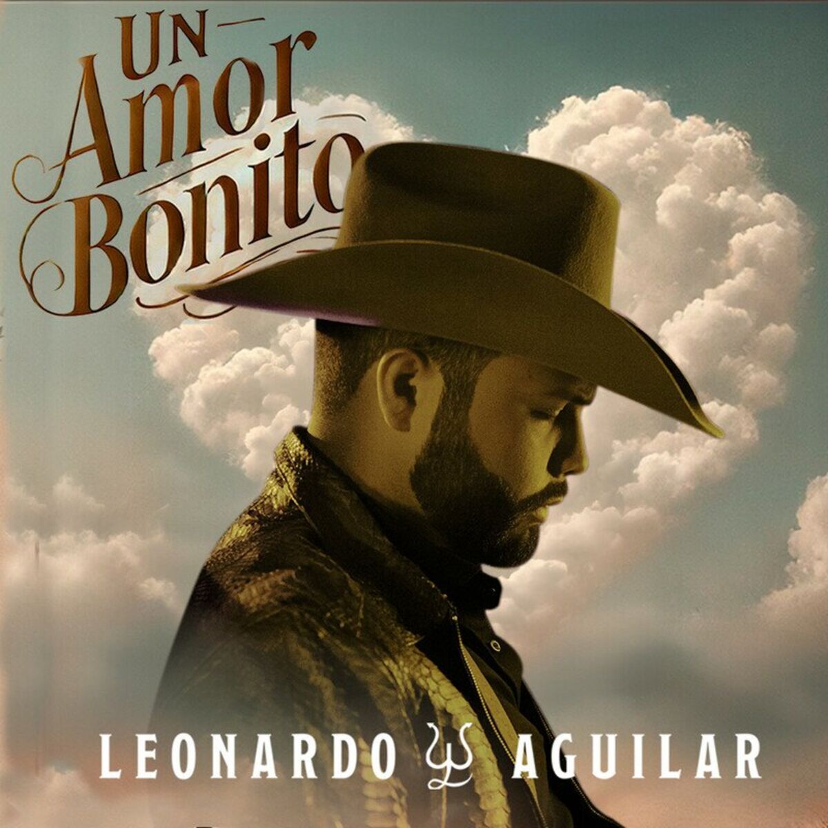 Album cover of Un Amor Bonito