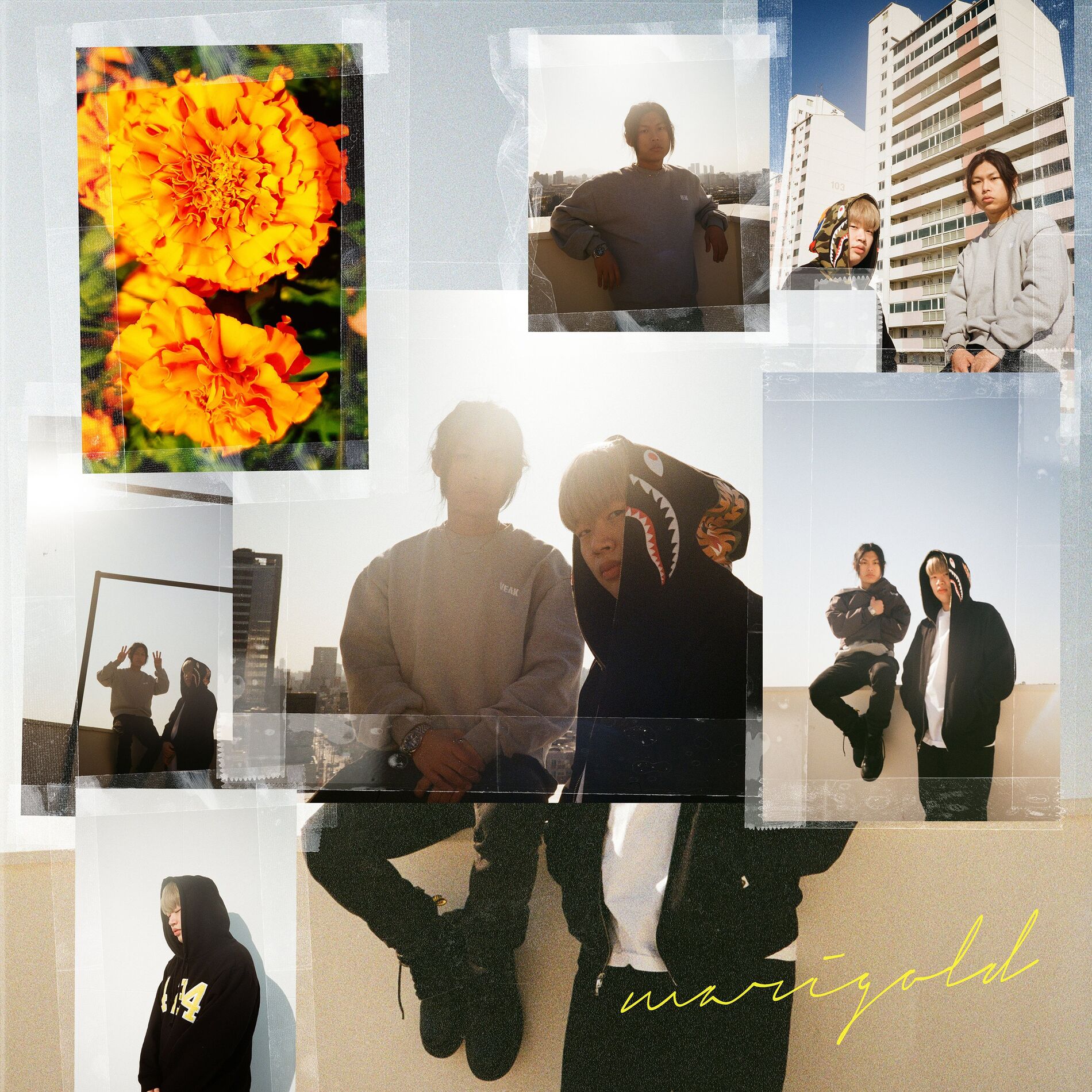 Album cover of Marigold