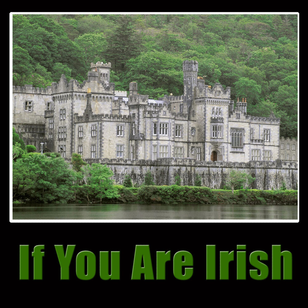 Picture of If You Are Irish