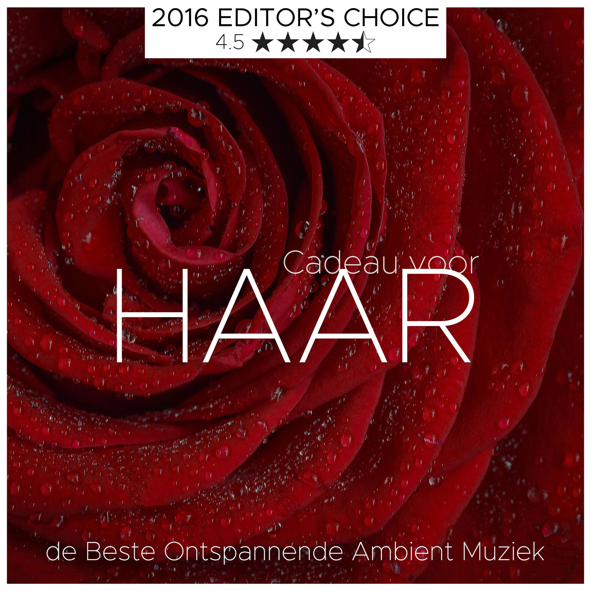 Album cover of Cadeau voor Haar: de Beste Ontspannende Ambient Muziek voor Intieme en Sensuele Momenten
