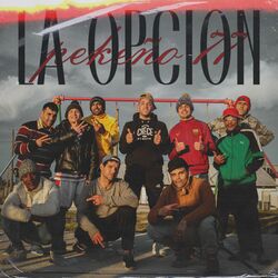 Cover of La Opción