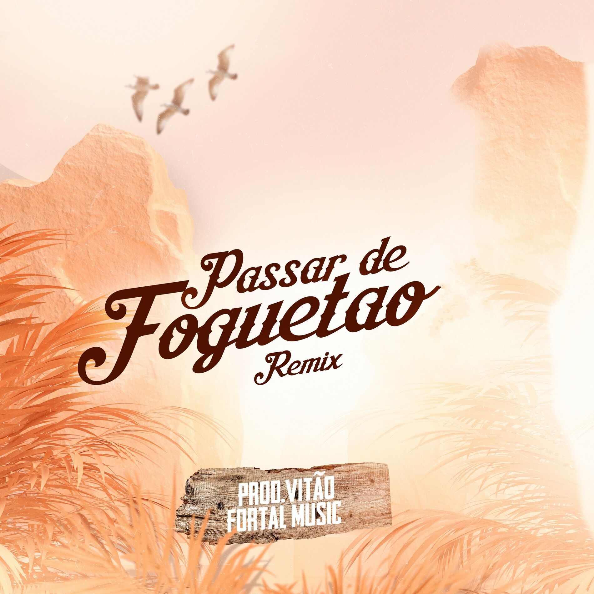 Album cover of Passar de Foguetão (Remix)