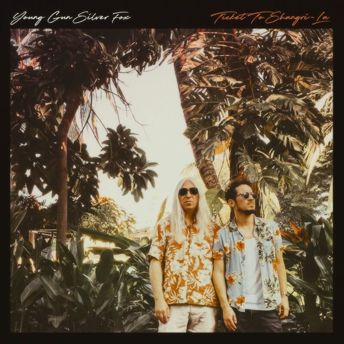 Album cover of Lodestar