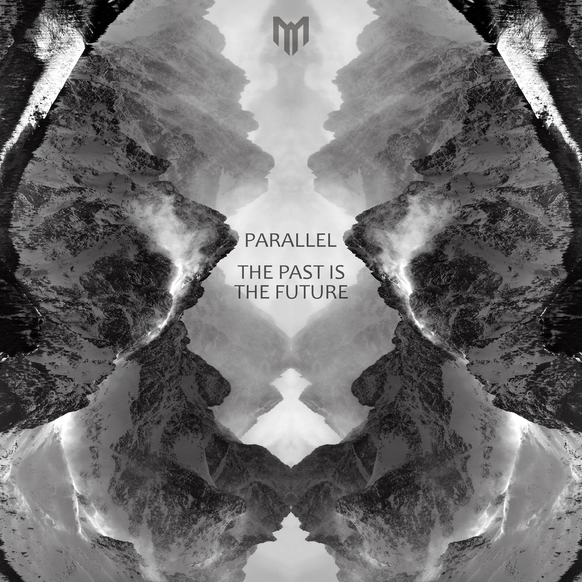 Album cover of The Past Is The Future