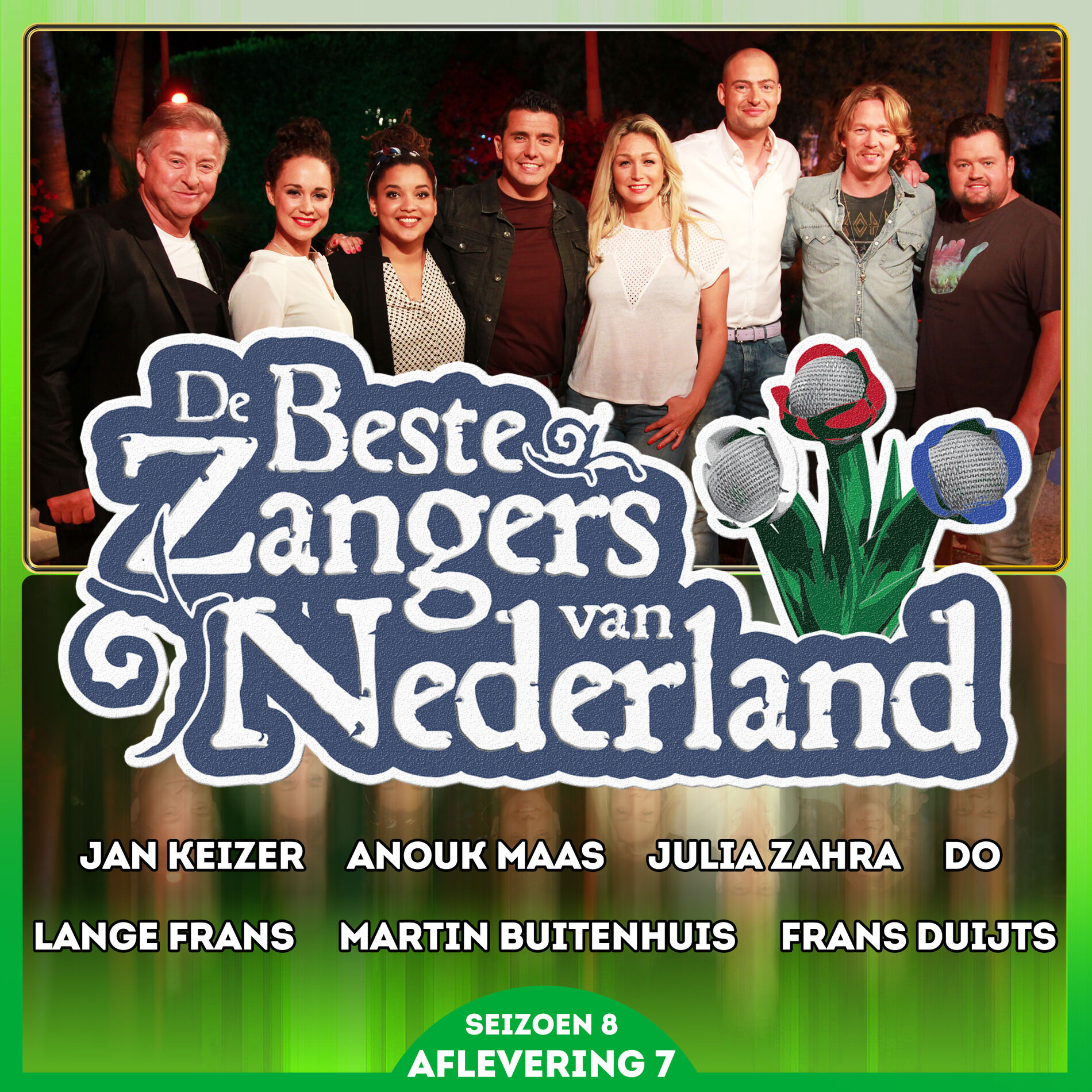 Album cover of De Beste Zangers van Nederland Seizoen 8 (Aflevering 7)