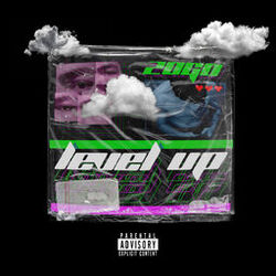 Cover of Level Up