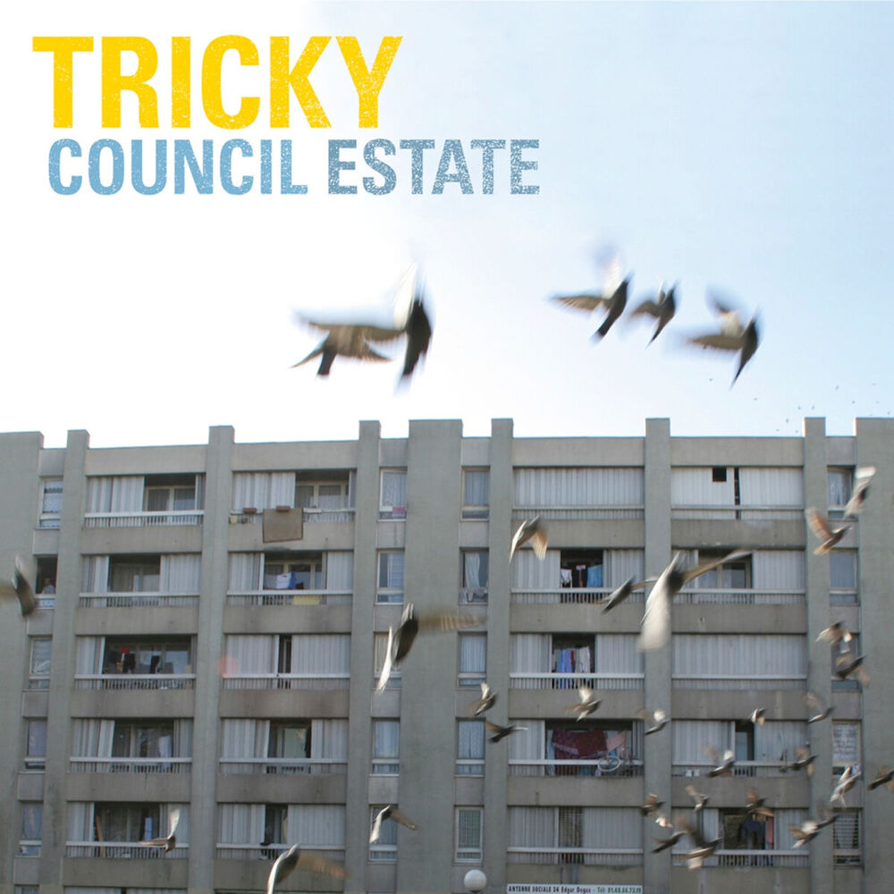Picture of Council Estate