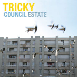 Cover of Council Estate