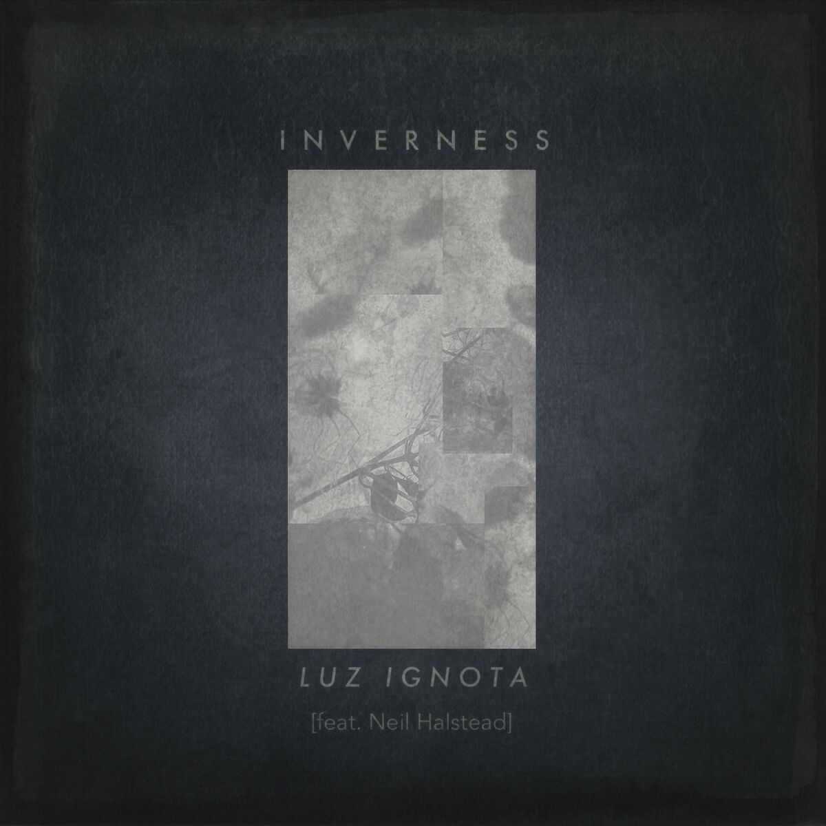 Album cover of Luz Ignota