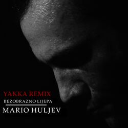 Cover of BEZOBRAZNO LIJEPA