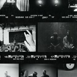 Cover of Set Me Free