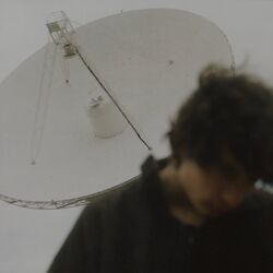 Cover of i care so much that i dont care at all