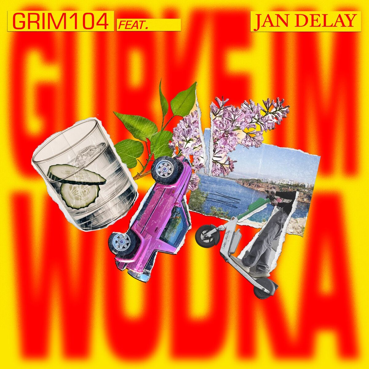 Album cover of Gurke Im Wodka