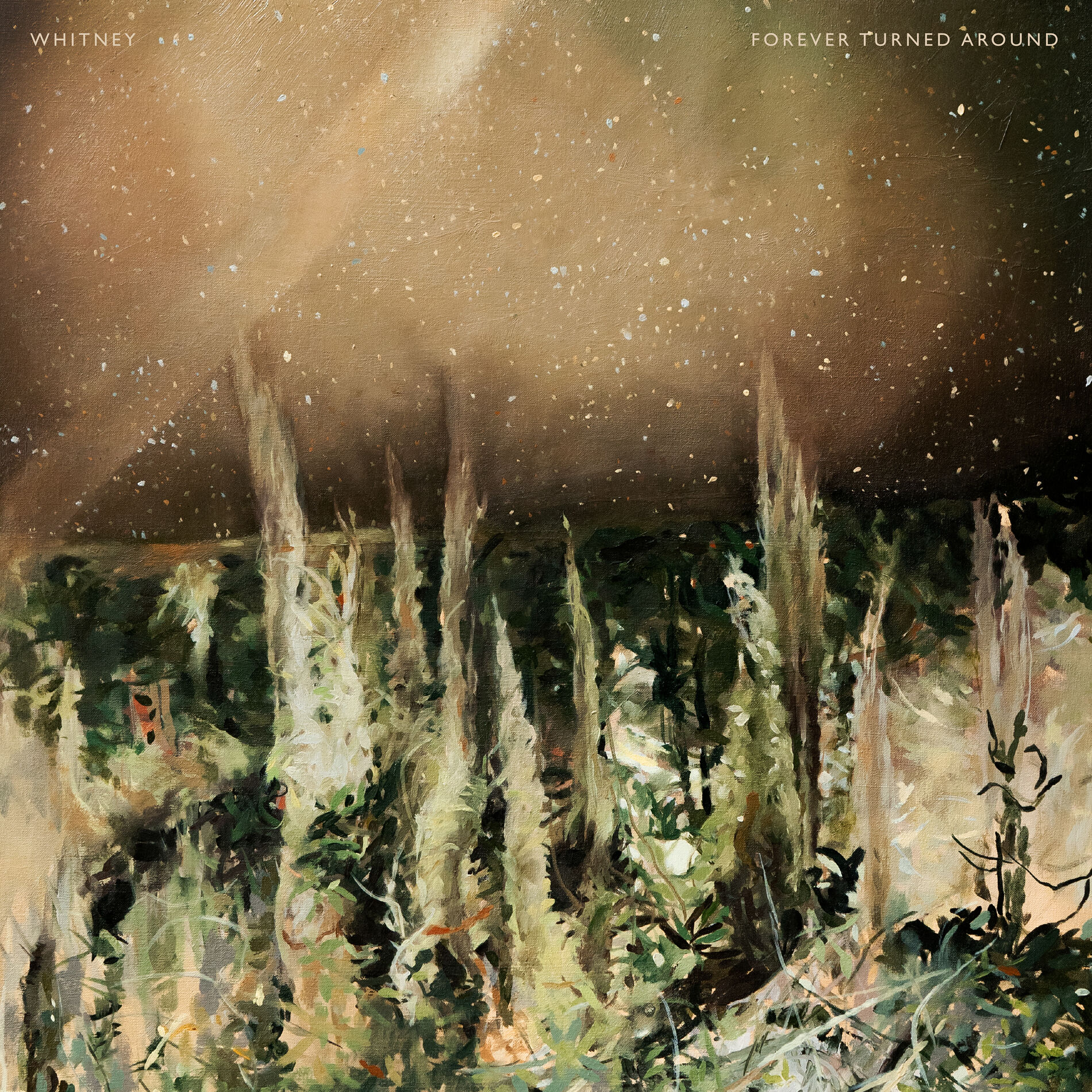 Album cover of Giving Up