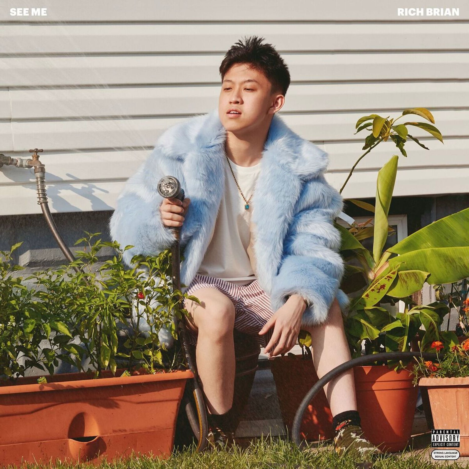 Album cover of See Me