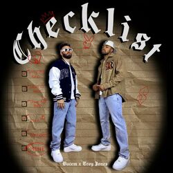 Cover of Checklist