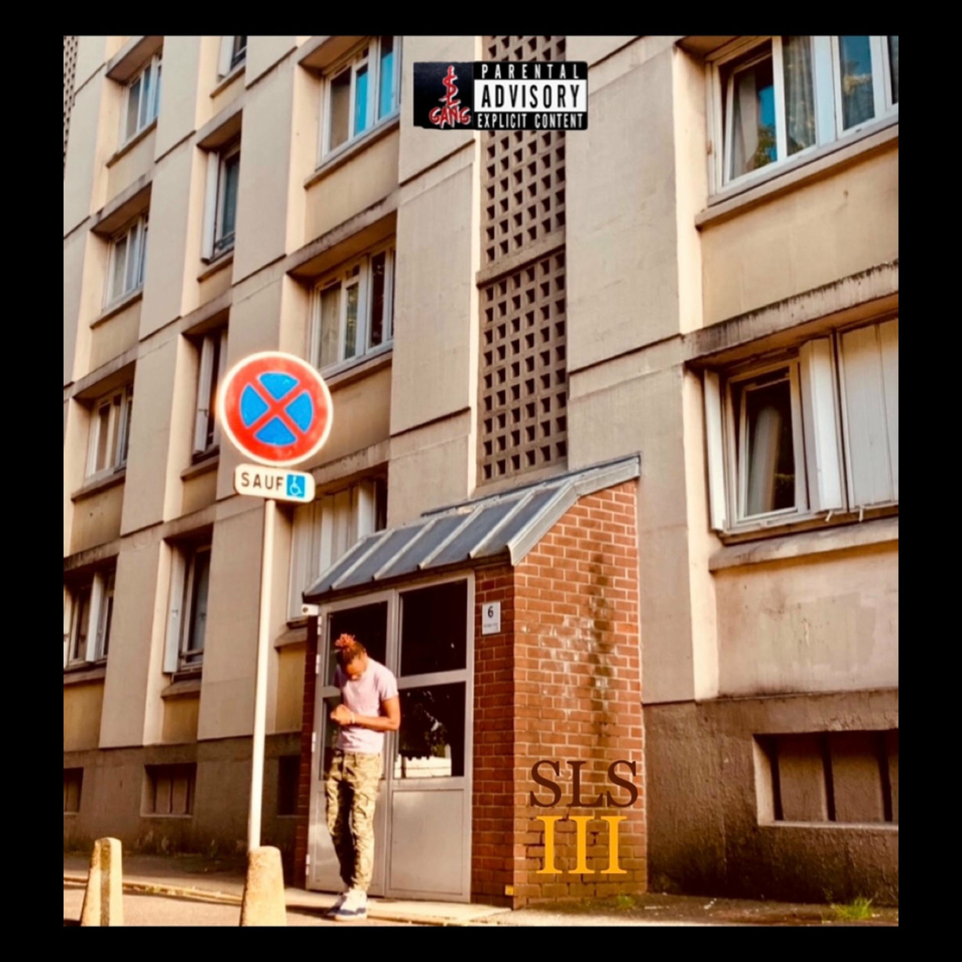 Album cover of SL Summer III