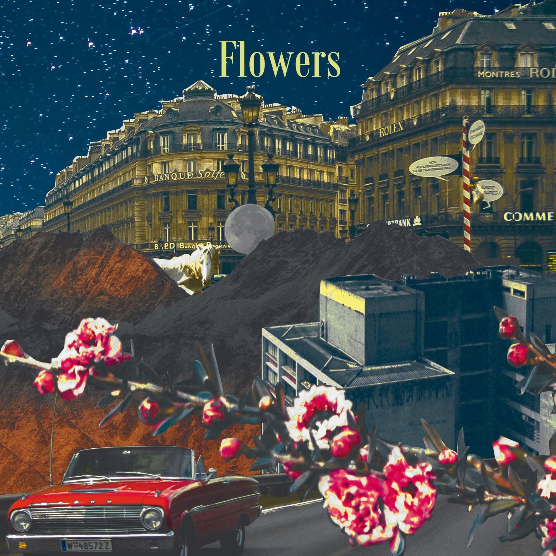 Album cover of Flowers