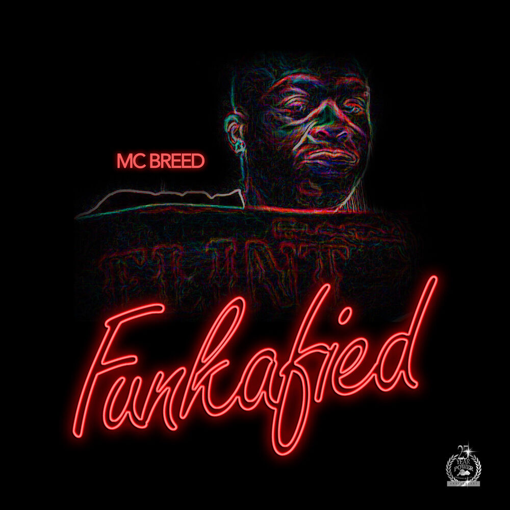 Picture of Funkafied